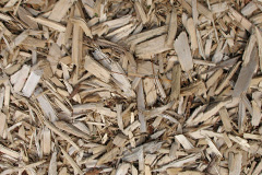 biomass boilers Walditch
